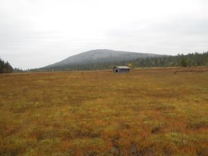 house, barn, dilapidated, deserted house, to bathe, autumn, lapland, finland, nature, terrain, landscape, mountain in lapland, forest, birch, lapland, finland, finland, finland, terrain, terrain, terrain, terrain, terrain