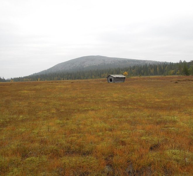 house, barn, dilapidated, deserted house, to bathe, autumn, lapland, finland, nature, terrain, landscape, mountain in lapland, forest, birch, lapland, finland, finland, finland, terrain, terrain, terrain, terrain, terrain