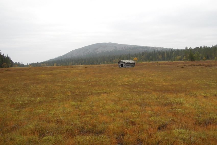 house, barn, dilapidated, deserted house, to bathe, autumn, lapland, finland, nature, terrain, landscape, mountain in lapland, forest, birch, lapland, finland, finland, finland, terrain, terrain, terrain, terrain, terrain